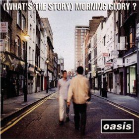  Morning Glory?