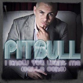 Pitbull