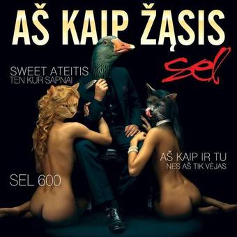 Aš kaip žąsis