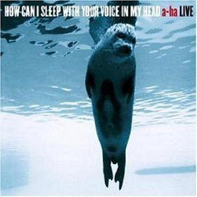 How Can I Sleep with Your Voice in My Head