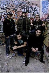 Zebrahead